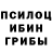 Псилоцибиновые грибы мицелий Arkish Chakraborty
