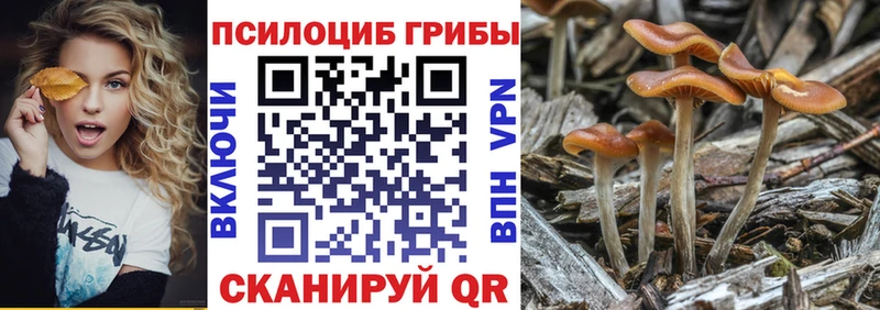 где можно купить наркотик  Дыгулыбгей  Галлюциногенные грибы GOLDEN TEACHER 